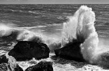 Wave