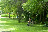 Writer, Hope Gardens, St. Andrew