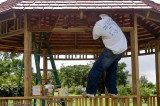 Painter-man, Hope Gardens, St. Andrew