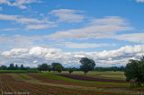 Untitled, Sauvie Island