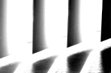 blinds (3) .jpg