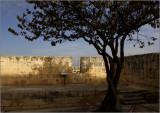 Three Cities, Vittoriosa #25