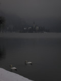 Bled Island, only slightly more visible from ground level.