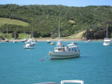 16: Waiheke Harbor, waiting for the ferry to leave