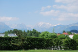Julian Alps from the Slovenian Arboretum