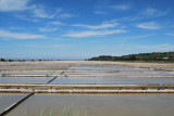 Piran salt flats