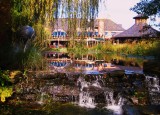 Rats Pond and Waterfall