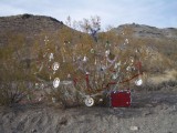 ... more Christmas decorations<BR>on the way to Oatman ...