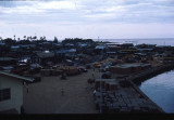 75.Bougainville.jpg