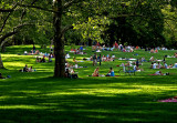 Sunday in the park