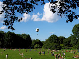 Sheep Meadow with balloon