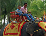 Boy and mahout