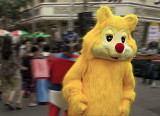 Bear on the run