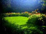 Rainbow Daylily Garden