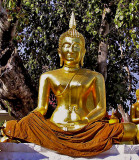 Golden Buddha image