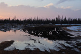 Winter Road at sunset 2010 March 31st