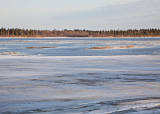 Looking towards Gutway 2010 April 14th. Water and ice flowing along Charles Island but shore ice in Moosonee has not moved