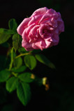 August 31 2008
