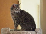 February 23 2010