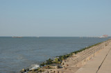 galveston-03182010-057
