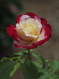 20100522_002