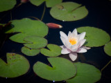 20100522_038.jpg
