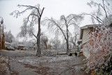DSC_6032.jpg