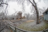 DSC_6036.jpg