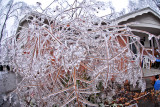 DSC_6042.jpg