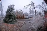 DSC_6044.jpg