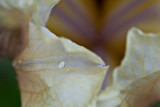 04232008-006