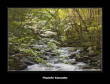 Smoky Mountains