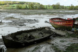 Le cimetire de bateaux de la rivire du Bono - MK3_9750 DxO Pbase.jpg