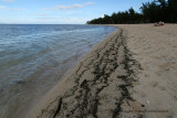 2 weeks on Mauritius island in march 2010 - 132MK3_7953_DxO WEB.jpg