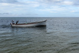 2 weeks on Mauritius island in march 2010 - 133MK3_7954_DxO WEB.jpg