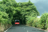 2 weeks on Mauritius island in march 2010 - 73MK3_7894_DxO WEB.jpg
