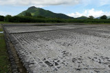 2 weeks on Mauritius island in march 2010 - 265MK3_8088_DxO WEB.jpg