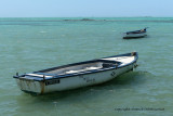 2 weeks on Mauritius island in march 2010 - 488MK3_8332_DxO WEB.jpg