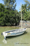 2 weeks on Mauritius island in march 2010 - 552MK3_8396_DxO WEB.jpg