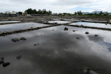 2 weeks on Mauritius island in march 2010 - 576MK3_9557_DxO WEB.jpg