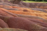 2 weeks on Mauritius island in march 2010 - 666MK3_9649_DxO WEB.jpg