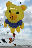 55 Cerfs volants  Berck sur Mer - MK3_7905_DxO WEB.jpg