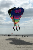 141 Cerfs volants  Berck sur Mer - MK3_7984_DxO WEB.jpg