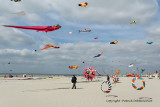 144 Cerfs volants  Berck sur Mer - MK3_7987_DxO WEB.jpg