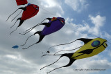 250 Cerfs volants  Berck sur Mer - MK3_8093_DxO WEB.jpg