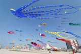 456 Cerfs volants  Berck sur Mer - IMG_3025_DxO WEB.jpg