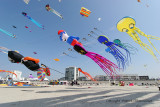 460 Cerfs volants  Berck sur Mer - IMG_3029_DxO WEB.jpg