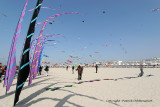 505 Cerfs volants  Berck sur Mer - IMG_3074_DxO WEB.jpg