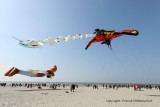 545 Cerfs volants  Berck sur Mer - IMG_3114_DxO WEB.jpg