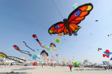 586 Cerfs volants  Berck sur Mer - IMG_3140_DxO WEB.jpg